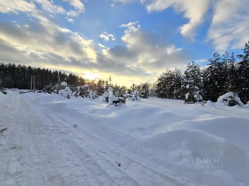 Участок в Владимирская область, Судогодский район, д. Ладога ул. Тихая ... - Фото 1