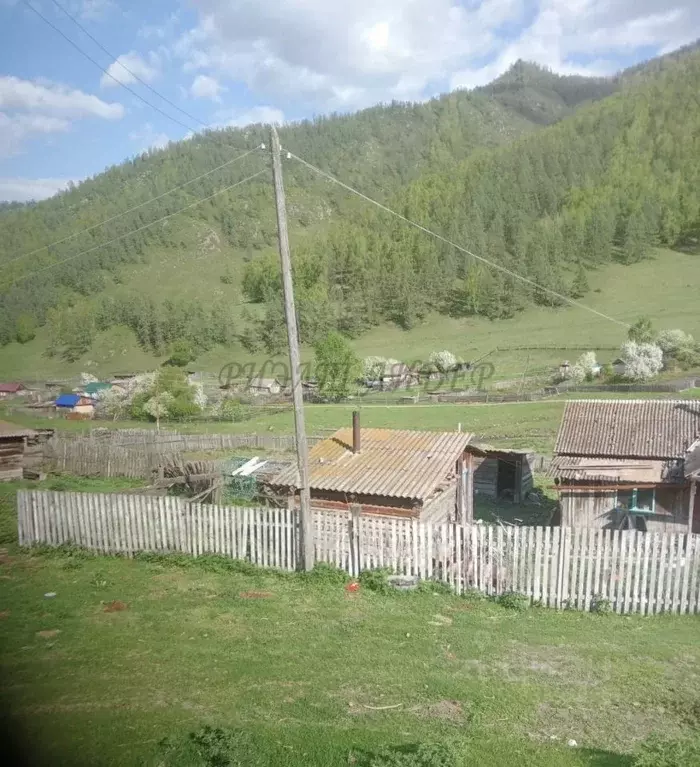 Участок в Алтай, Чемальский район, с. Ороктой ул. Центральная (25.0 ... - Фото 2