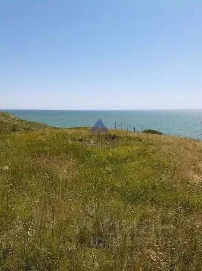 Участок в Ростовская область, Цимлянский район, Саркеловское с/пос, ... - Фото 1