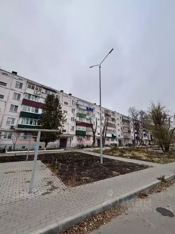 2-к кв. Белгородская область, Алексеевка ул. Пушкина, 43 (44.9 м) - Фото 0