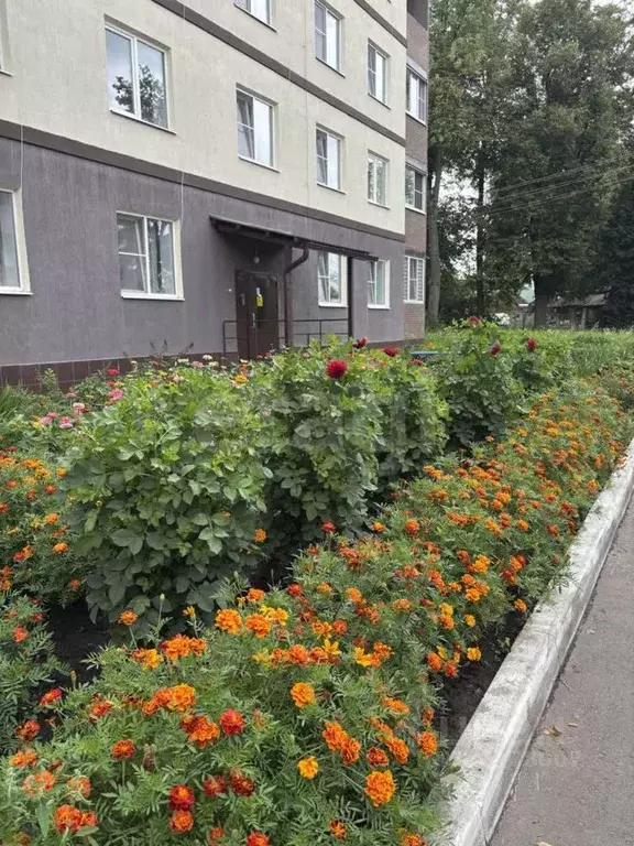 2-к кв. Тульская область, Липки Киреевский район, ул. Гоголя, 2А (50.7 ... - Фото 0