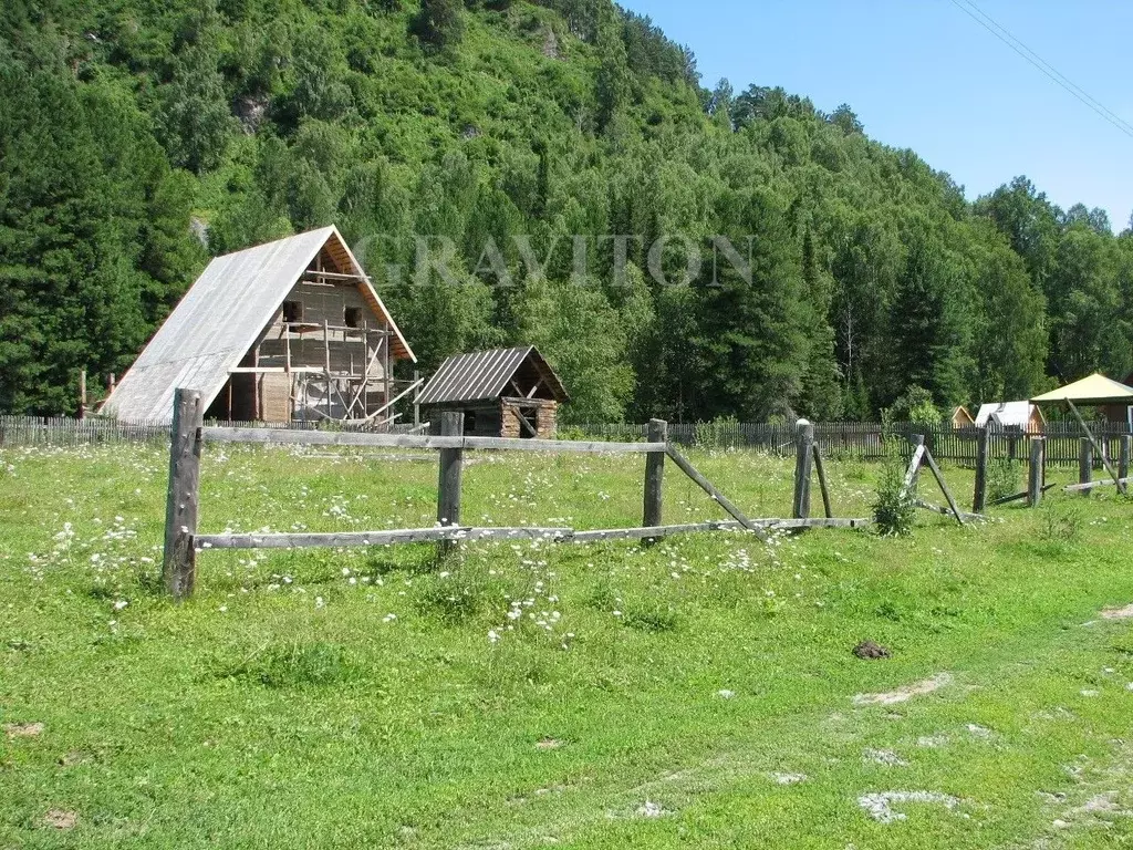 Участок в Алтай, Турочакский район, с. Артыбаш Зеленая ул., 3 (11.7 ... - Фото 1