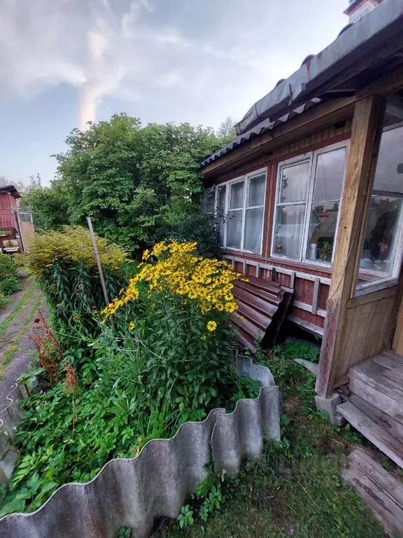 Участок в Ленинградская область, Всеволожский район, Сертоловское ... - Фото 2