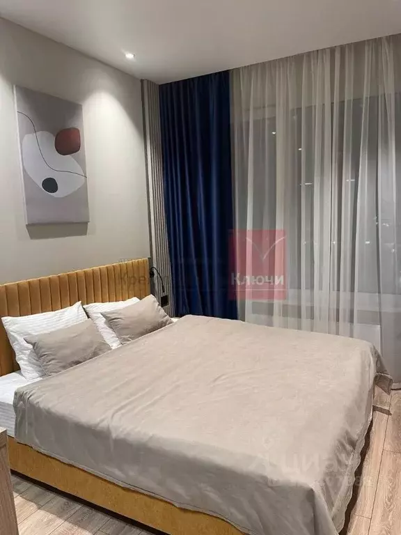 Студия Санкт-Петербург просп. Энергетиков, 8к2 (24.0 м) - Фото 2