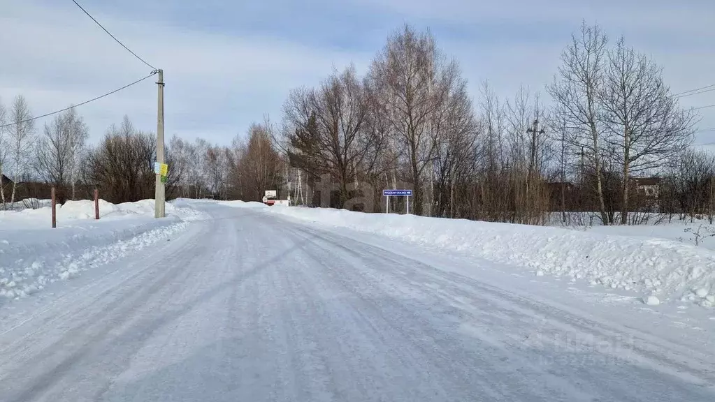 Участок в Новосибирская область, Новосибирский район, Кудряшовский ... - Фото 2