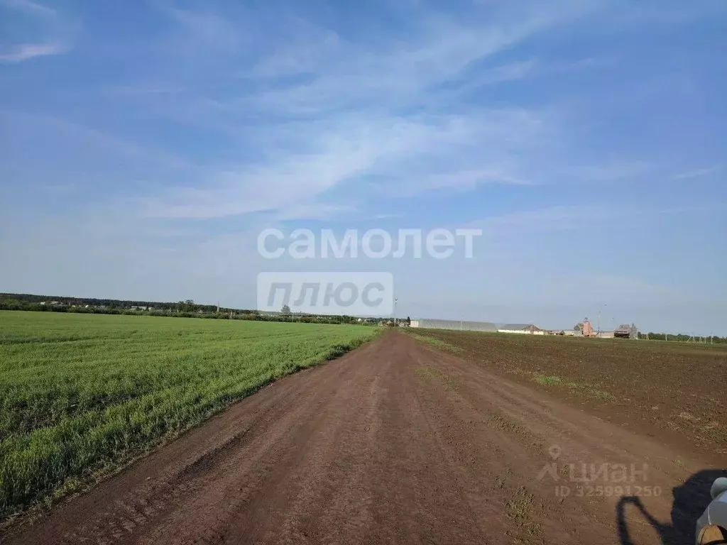 Участок в Тюменская область, Тюменский муниципальный округ, д. Зырянка ... - Фото 2