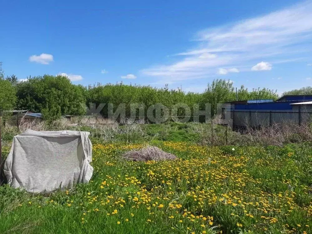 Участок в Новосибирская область, Новосибирск Коуракская ул. (11.3 ... - Фото 1