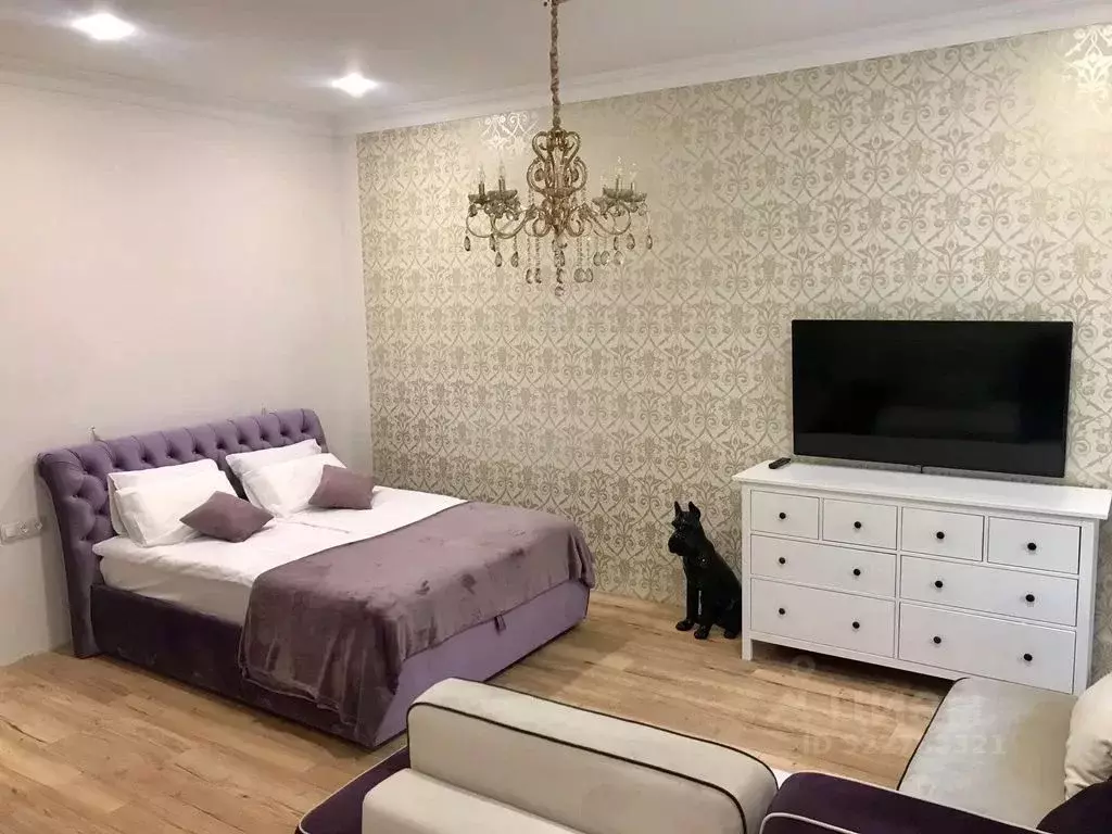 1-к кв. Самарская область, Самара Красноармейская ул., 62 (30.0 м) - Фото 1