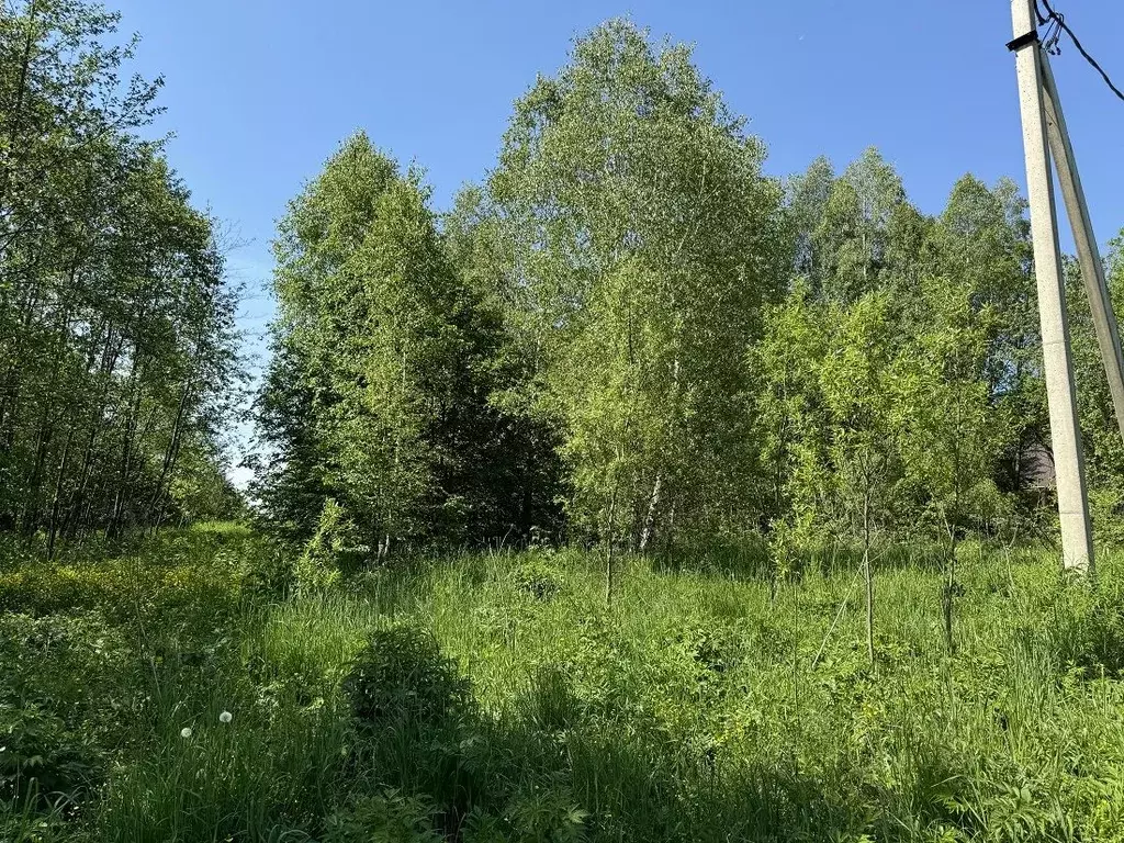 Участок в Московская область, Чехов городской округ, д. Новгородово  ... - Фото 0