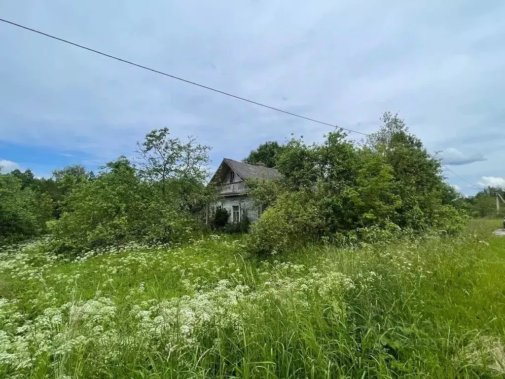 Участок в Псковская область, Пустошкинский район, Пригородная волость, ... - Фото 1