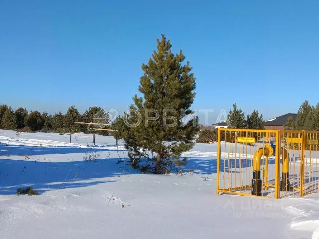 Участок в Тюменская область, Тюменский район, Новокаменский кп  (15.0 ... - Фото 0