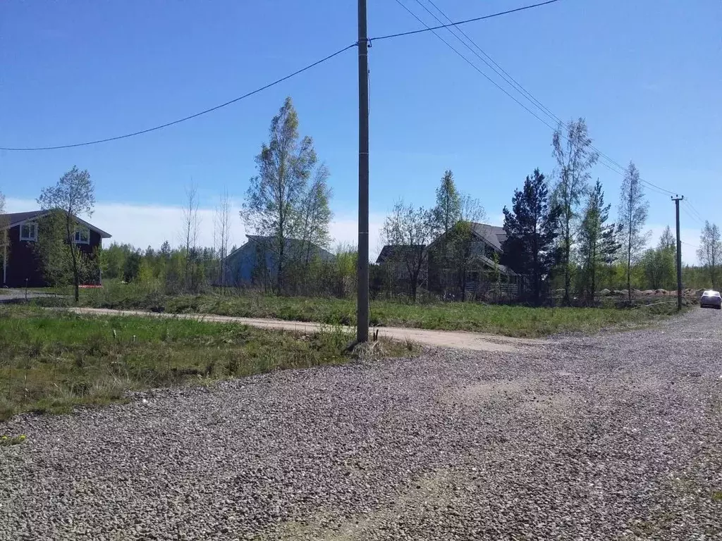 Участок в Ленинградская область, Всеволожский район, Колтушское ... - Фото 2