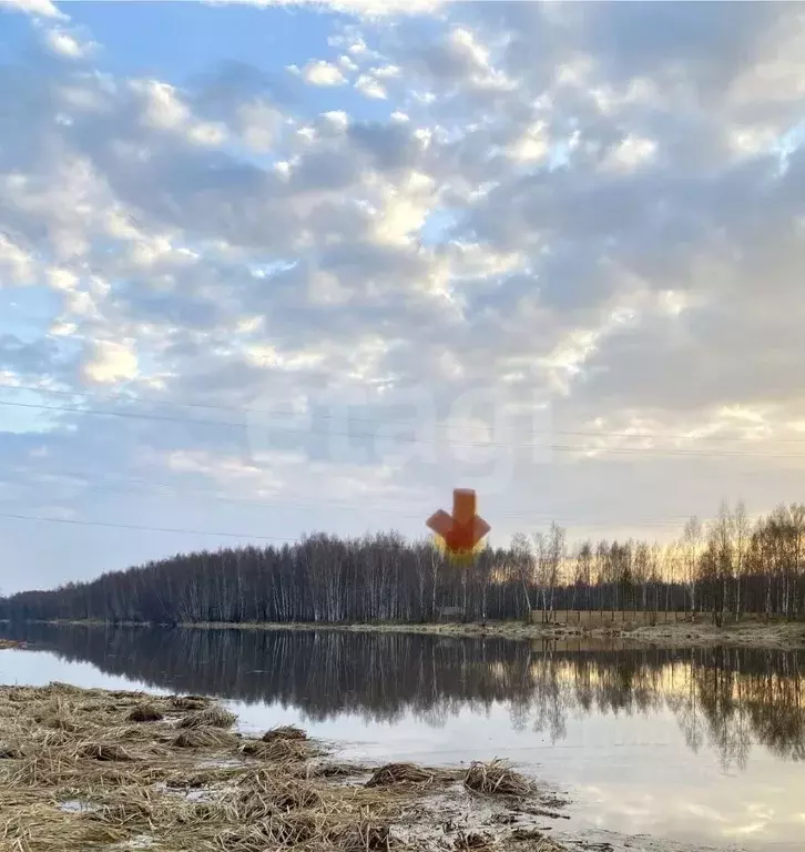 Участок в Костромская область, Красносельский район, Сидоровское ... - Фото 1