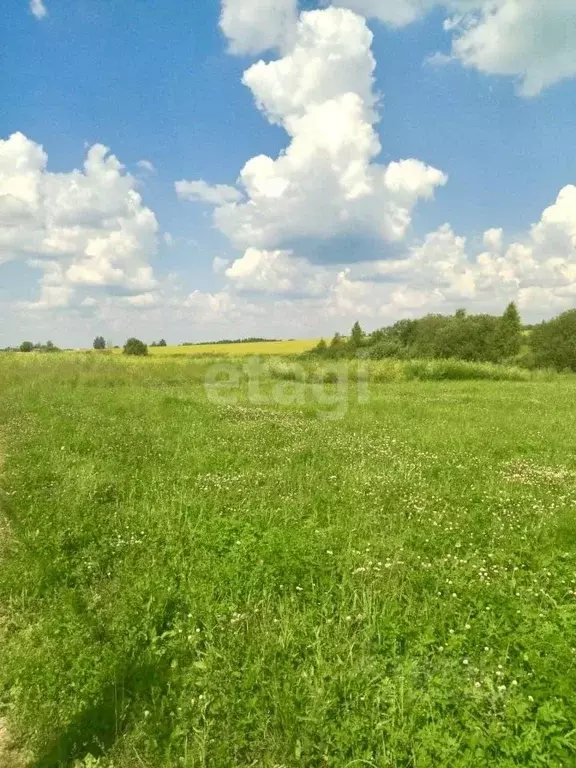 Участок в Тульская область, Тула муниципальное образование, д. ... - Фото 1