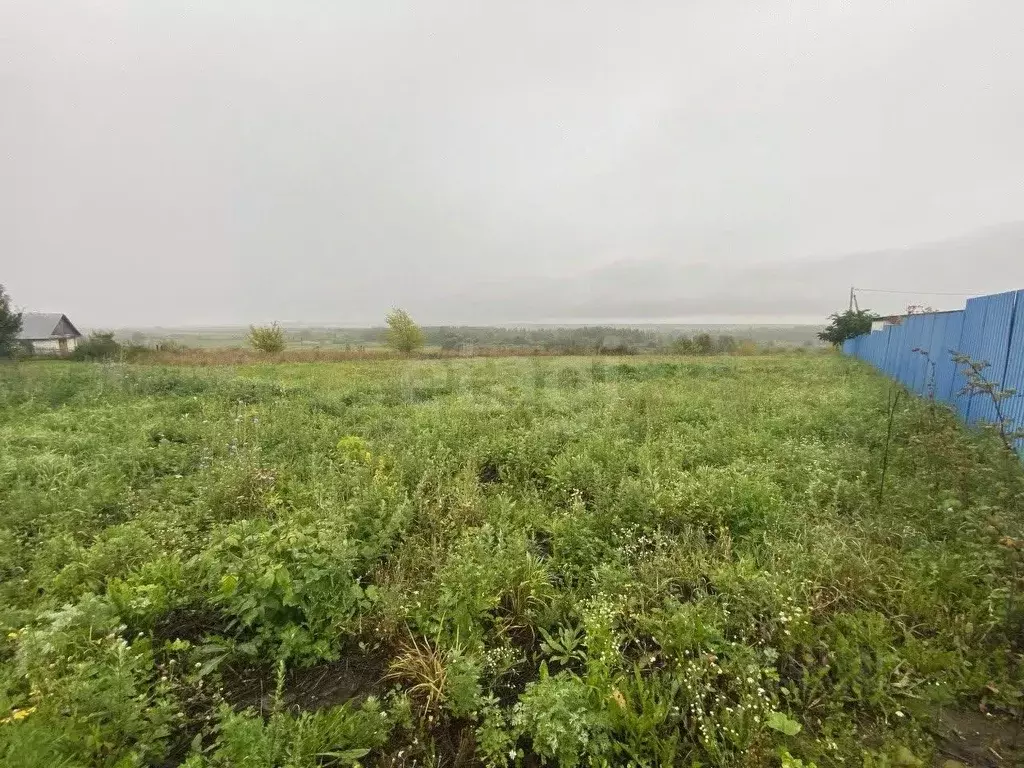 Участок в Владимирская область, Муром с. Чаадаево, ул. Полевая (15.0 ... - Фото 1