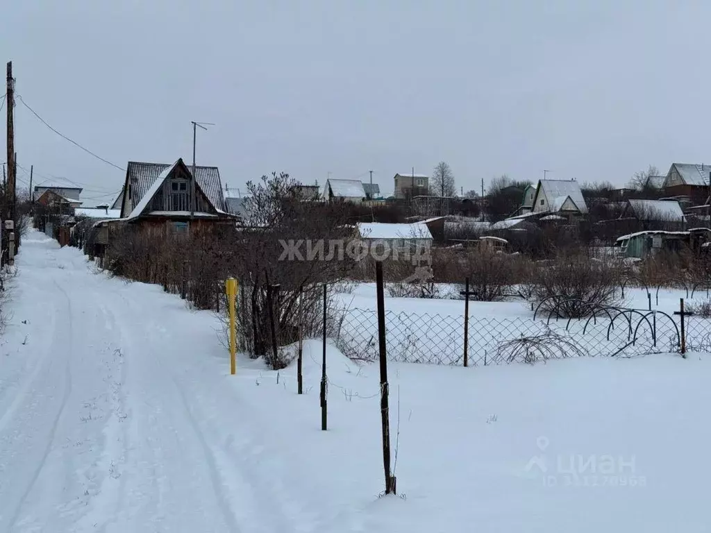 Участок в Алтайский край, Барнаул городской округ, Поселок Казенная ... - Фото 0