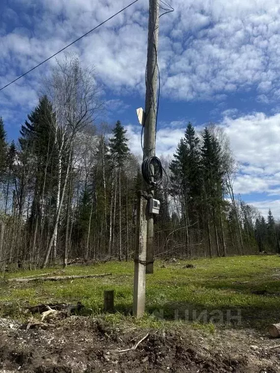Участок в Пермский край, Березники ул. Осиновая (8.8 сот.) - Фото 1