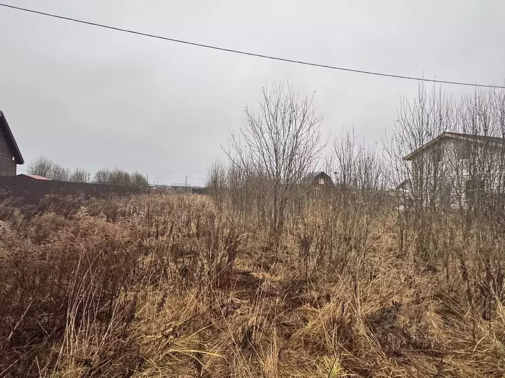Участок в Ленинградская область, Волховский район, Староладожское ... - Фото 1