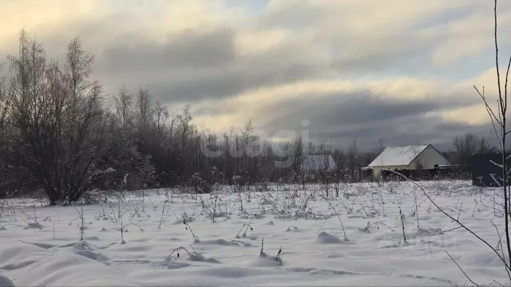 Участок в Ленинградская область, Кириши пл. Ленина (10.0 сот.) - Фото 1