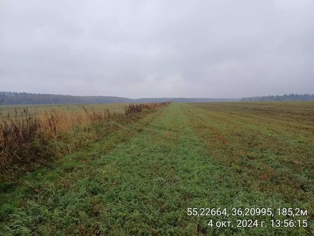 Участок в Московская область, Наро-Фоминский городской округ, д. ... - Фото 1
