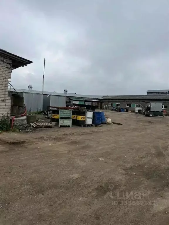 Помещение свободного назначения в Ленинградская область, Волосовский ... - Фото 2