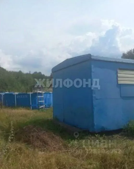 Участок в Новосибирская область, Тогучинский район, Ветеран СНТ  ... - Фото 2