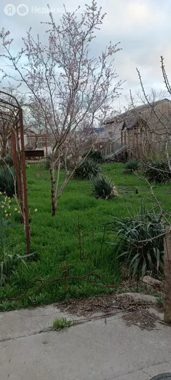 Дом в село Добрушино, Урожайная улица, 32 (240 м) - Фото 0