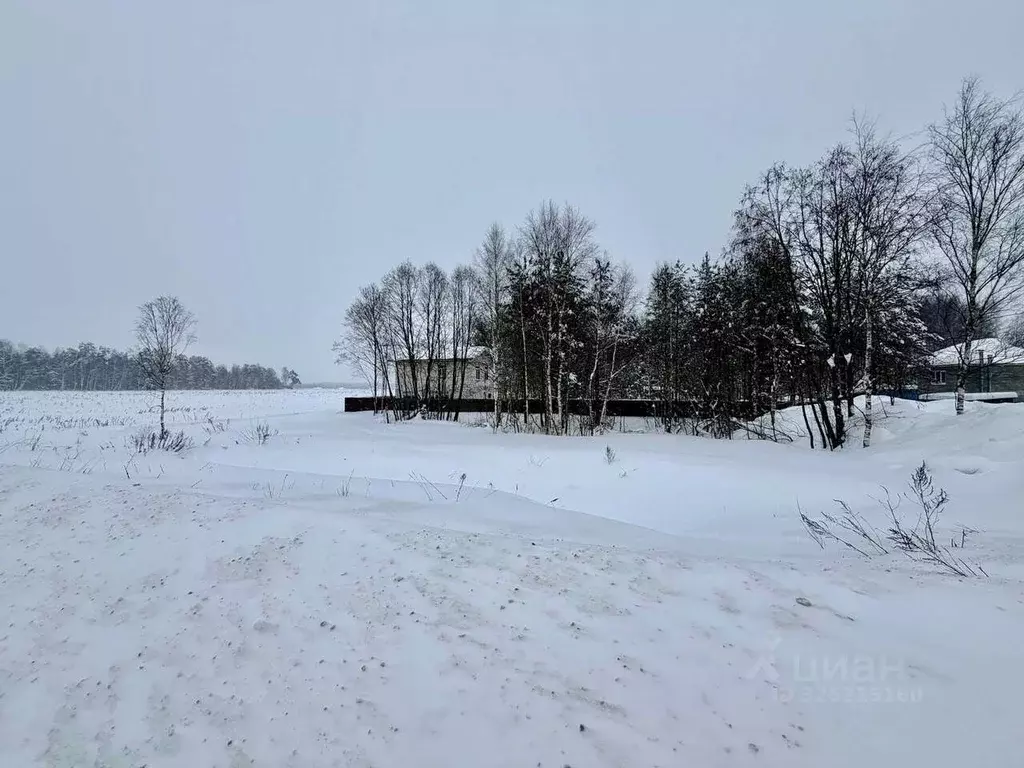 Участок в Московская область, Щелково городской округ, д. Огуднево ул. ... - Фото 2