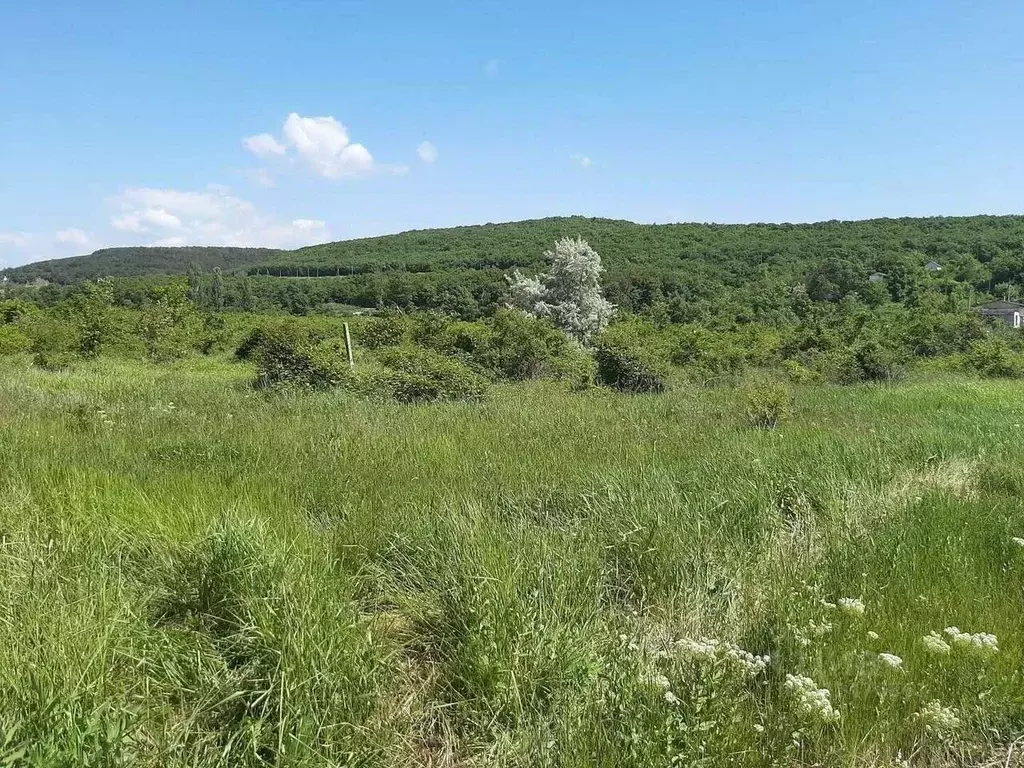 Участок в Севастополь ул. Речная (6.0 сот.) - Фото 0