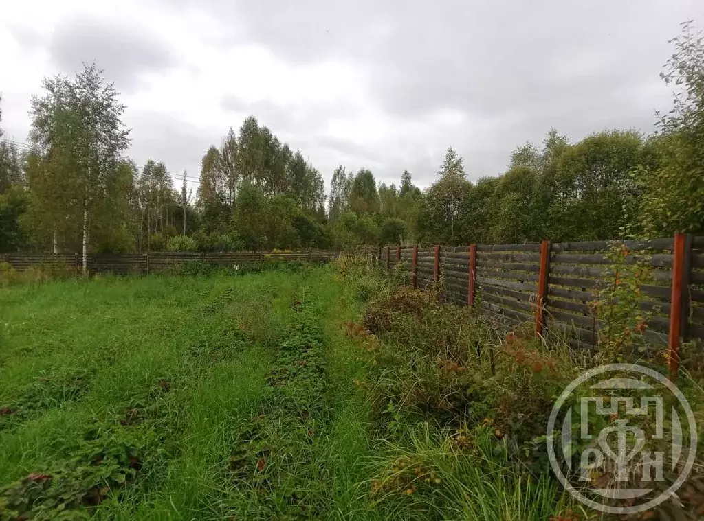 Участок в Ленинградская область, Лужский район, Заклинское с/пос, ... - Фото 2