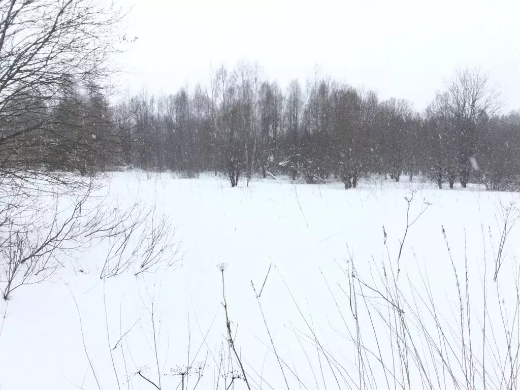 Участок в Московская область, Сергиево-Посадский городской округ, с. ... - Фото 0