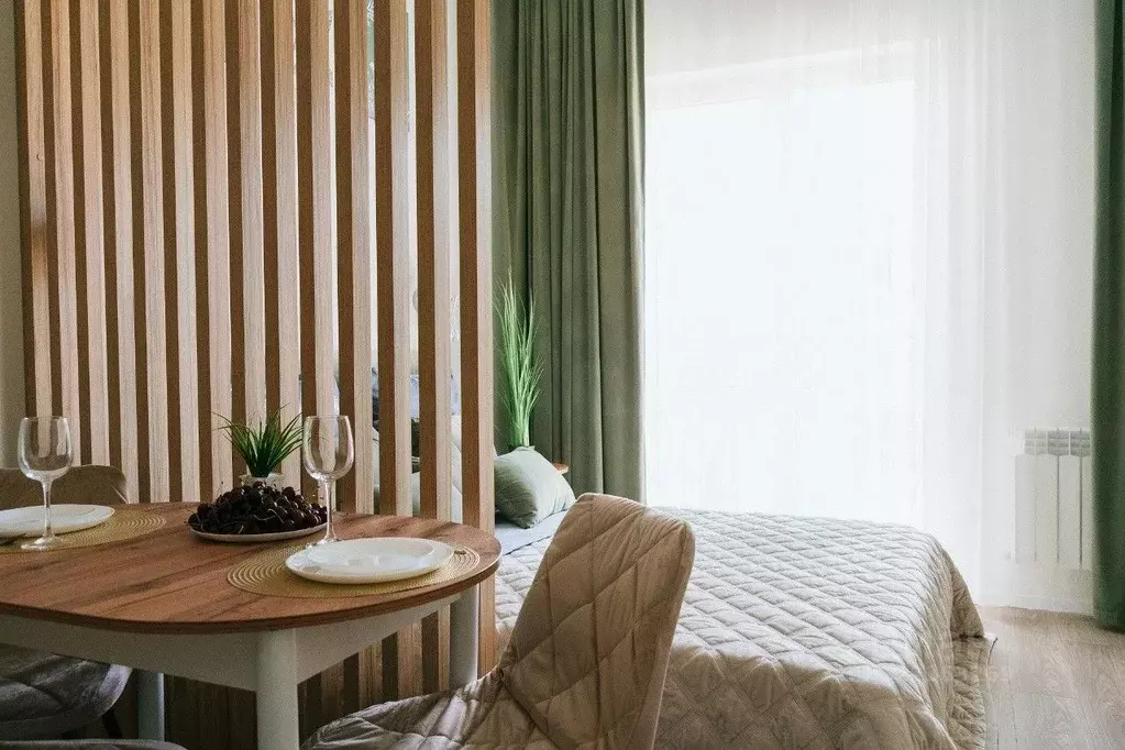 Студия Краснодарский край, Сочи ул. Искры, 88к8 (29.0 м) - Фото 1