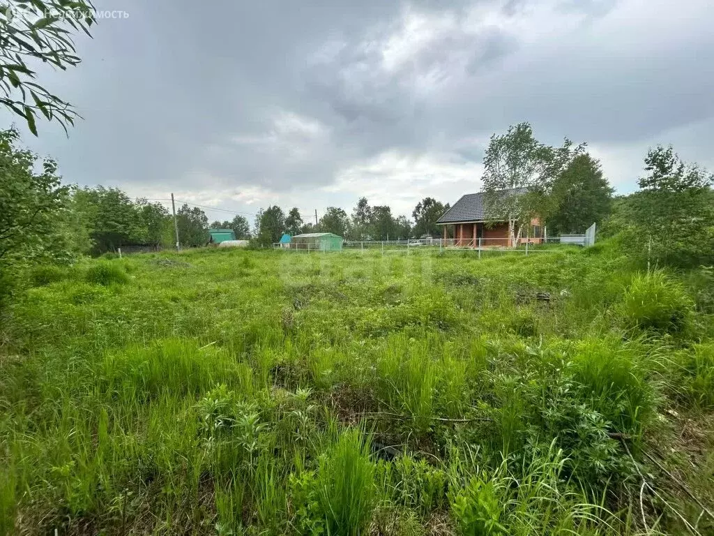 Участок в Елизовский район, СНТ Мелиоратор-2 треста Камчатскводстрой ... - Фото 0