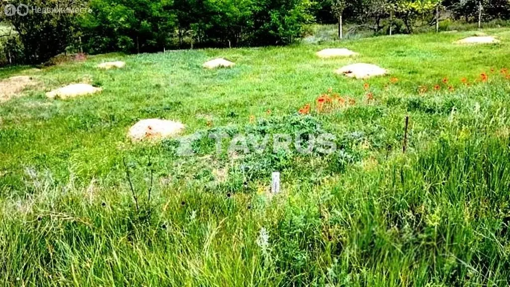 Участок в Трудовское сельское поселение, посёлок Айкаван, ТСН Флора, ... - Фото 2