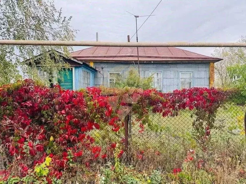 Дом в Курская область, Горшеченский район, Солдатский сельсовет, д. ... - Фото 1