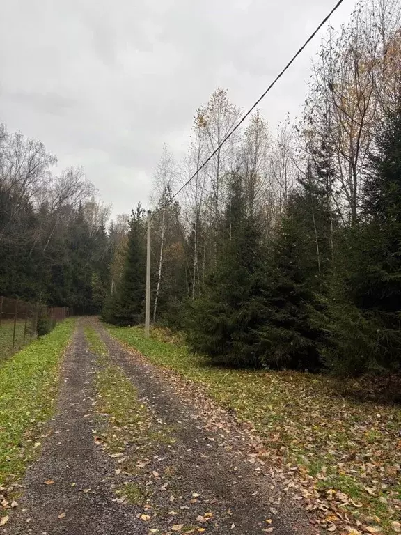 Участок в Московская область, Ступино городской округ, Карусель СНТ ... - Фото 2