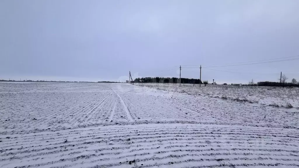 Участок в Ульяновская область, Новомалыклинский район, ... - Фото 1
