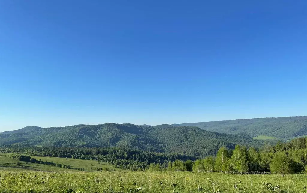 Участок в Алтай, Чемальский район, Элекмонарское с/пос, Седьмое Небо ... - Фото 2