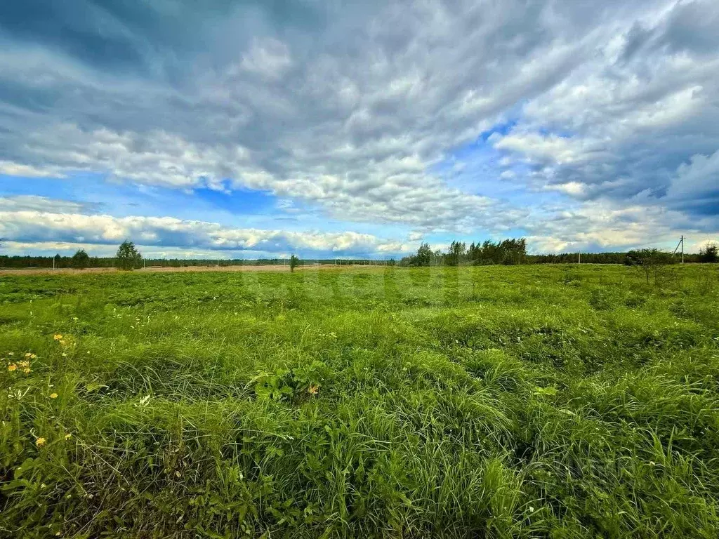 Участок в Владимирская область, Петушинский муниципальный округ, д. ... - Фото 2