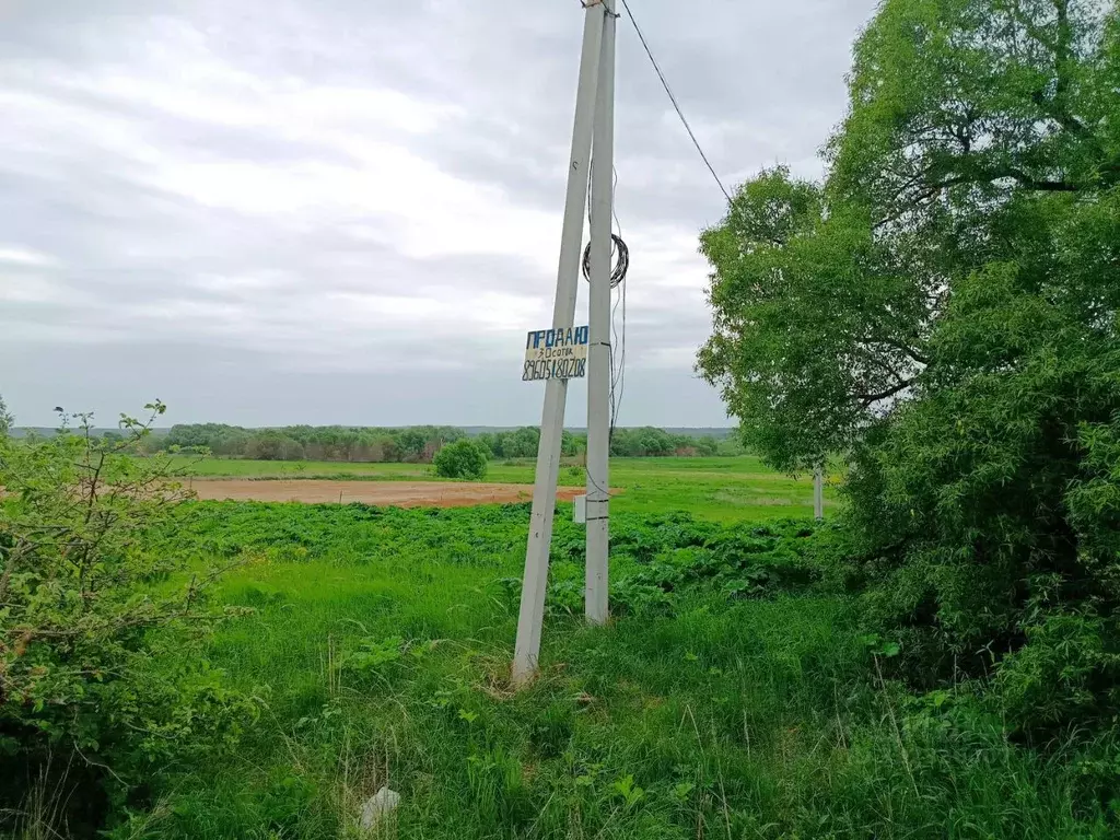 Участок в Калужская область, Козельский муниципальный округ, Нижние ... - Фото 2
