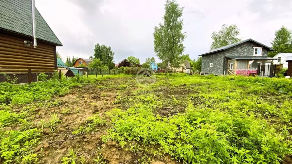 Участок в Московская область, Солнечногорск городской округ, Мечта ... - Фото 2