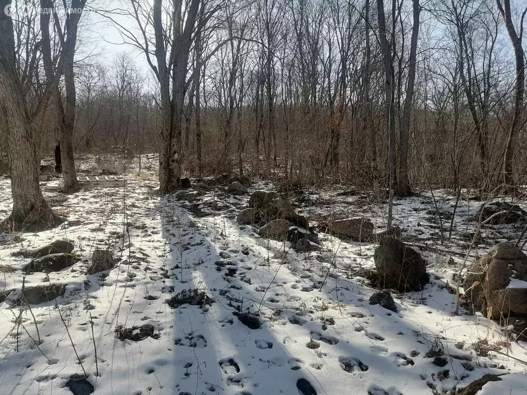 Участок в посёлок Раздольное, улица Малиновского (97 м) - Фото 0