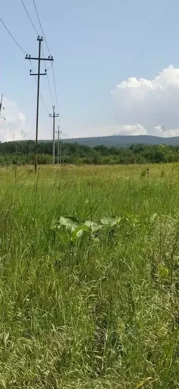 Участок в Краснодарский край, Северский район, Черноморское городское ... - Фото 1