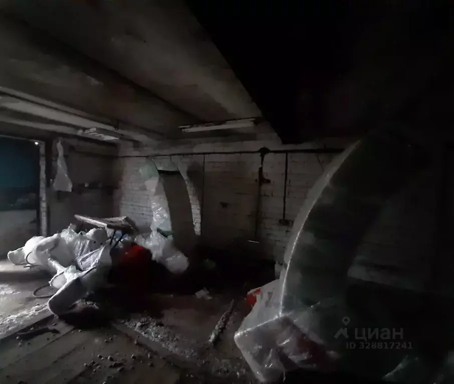 Гараж в Псковская область, Дедовичи рп ул. Октябрьская (49 м) - Фото 2