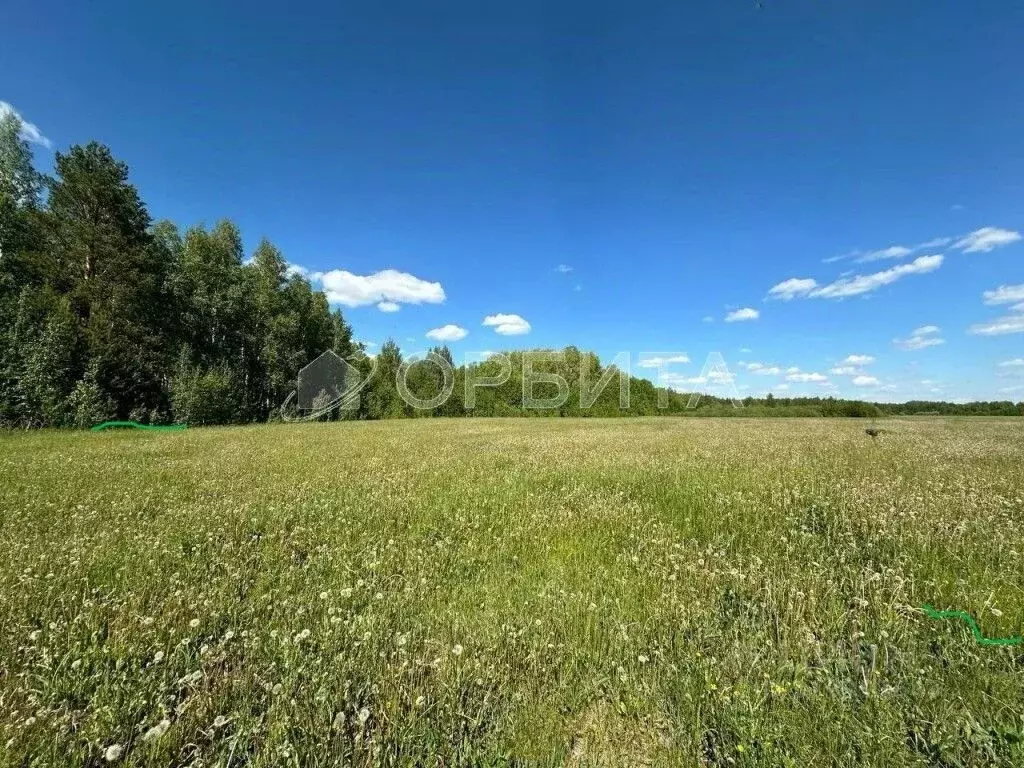 Участок в Тюменская область, Тюменский район, д. Елань 14 (7.94 сот.) - Фото 1