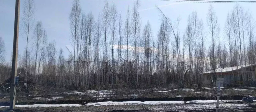 Участок в Новосибирская область, Новосибирский район, Станционный ... - Фото 0