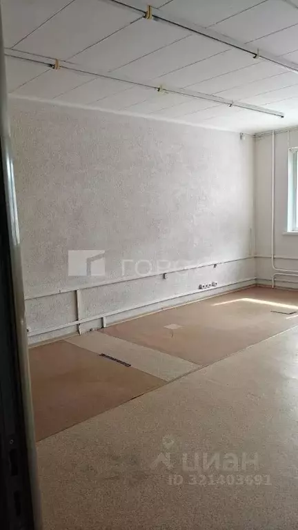 Помещение свободного назначения в Новосибирская область, Новосибирск ... - Фото 1