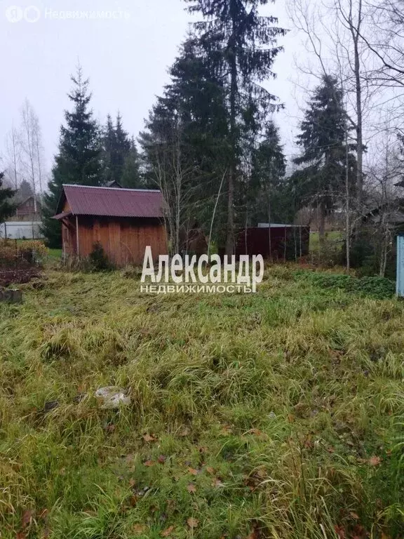 Участок в Мшинское сельское поселение, садоводческий массив Мшинская, ... - Фото 2