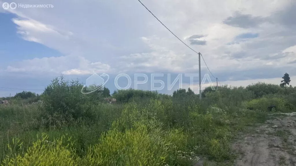 Участок в Тюмень, садовое товарищество Поле Чудес (10 м) - Фото 0