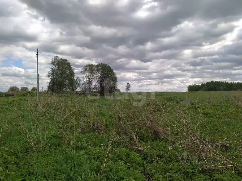 Участок в Вологодская область, Лиана садоводческое товарищество  (6.0 ... - Фото 1
